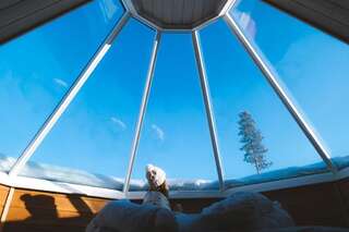 Курортные отели Levi Northern Lights Huts Леви Хижина со стеклянной крышей-22